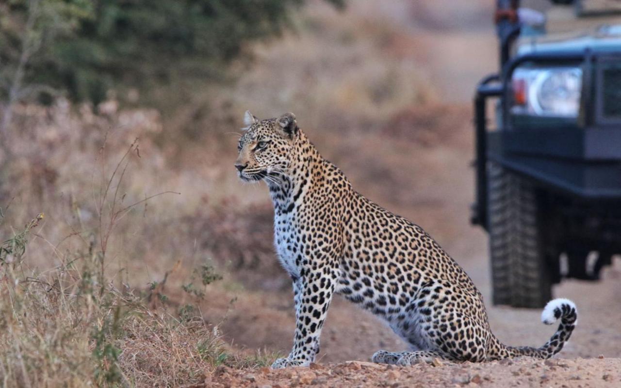 Sungulwane Private Game Lodge Хлухлуве Экстерьер фото