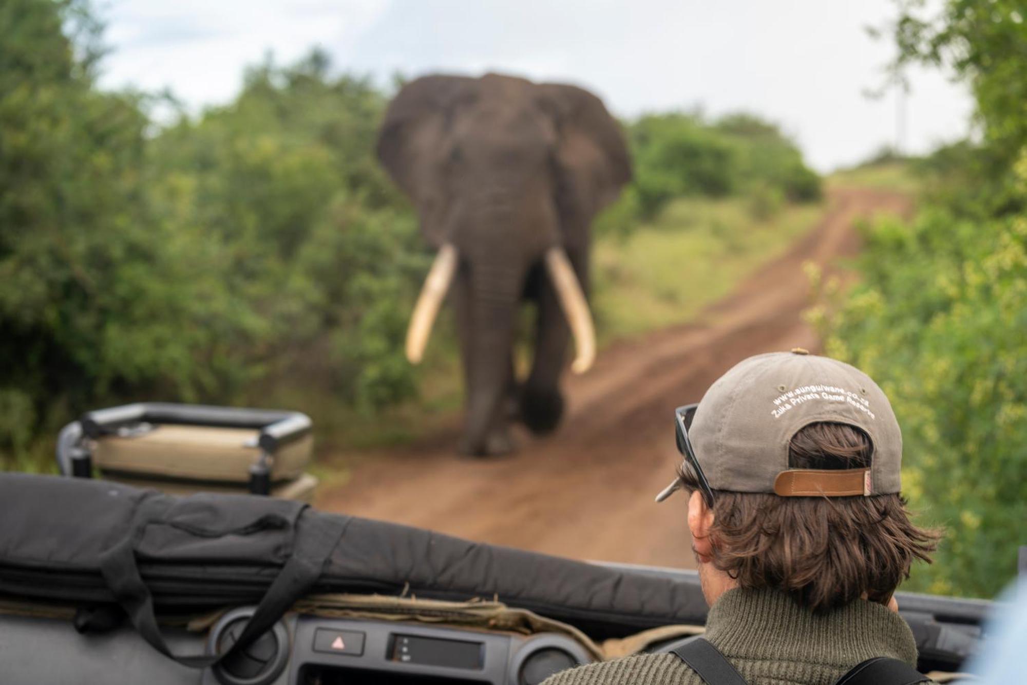 Sungulwane Private Game Lodge Хлухлуве Экстерьер фото