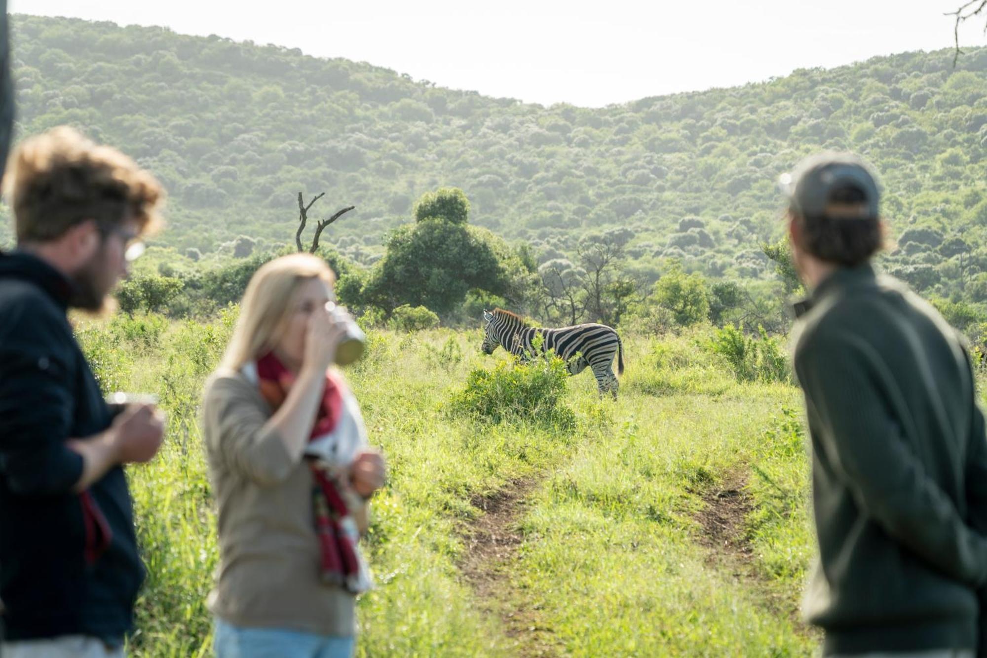 Sungulwane Private Game Lodge Хлухлуве Экстерьер фото